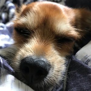 Meet your Posher, Bobbi